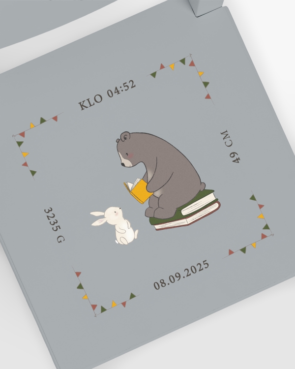 Kastetuoli, jossa on karhukuvio