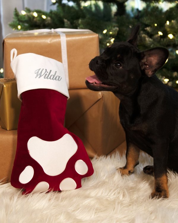 Christmas stocking - Pets